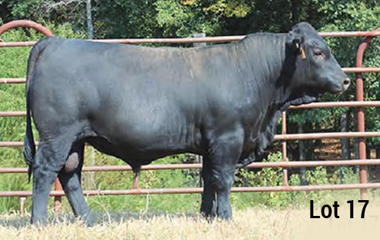 Lot 17 - TJB 914U MASTER PLAN 546C ET